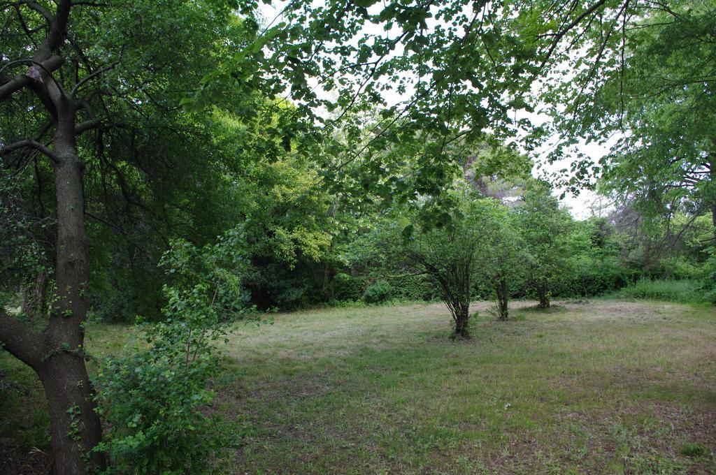 Chateau Le Vergel Authenac Ginestas Rum bild