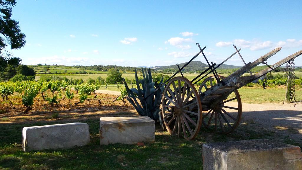 Chateau Le Vergel Authenac Ginestas Rum bild