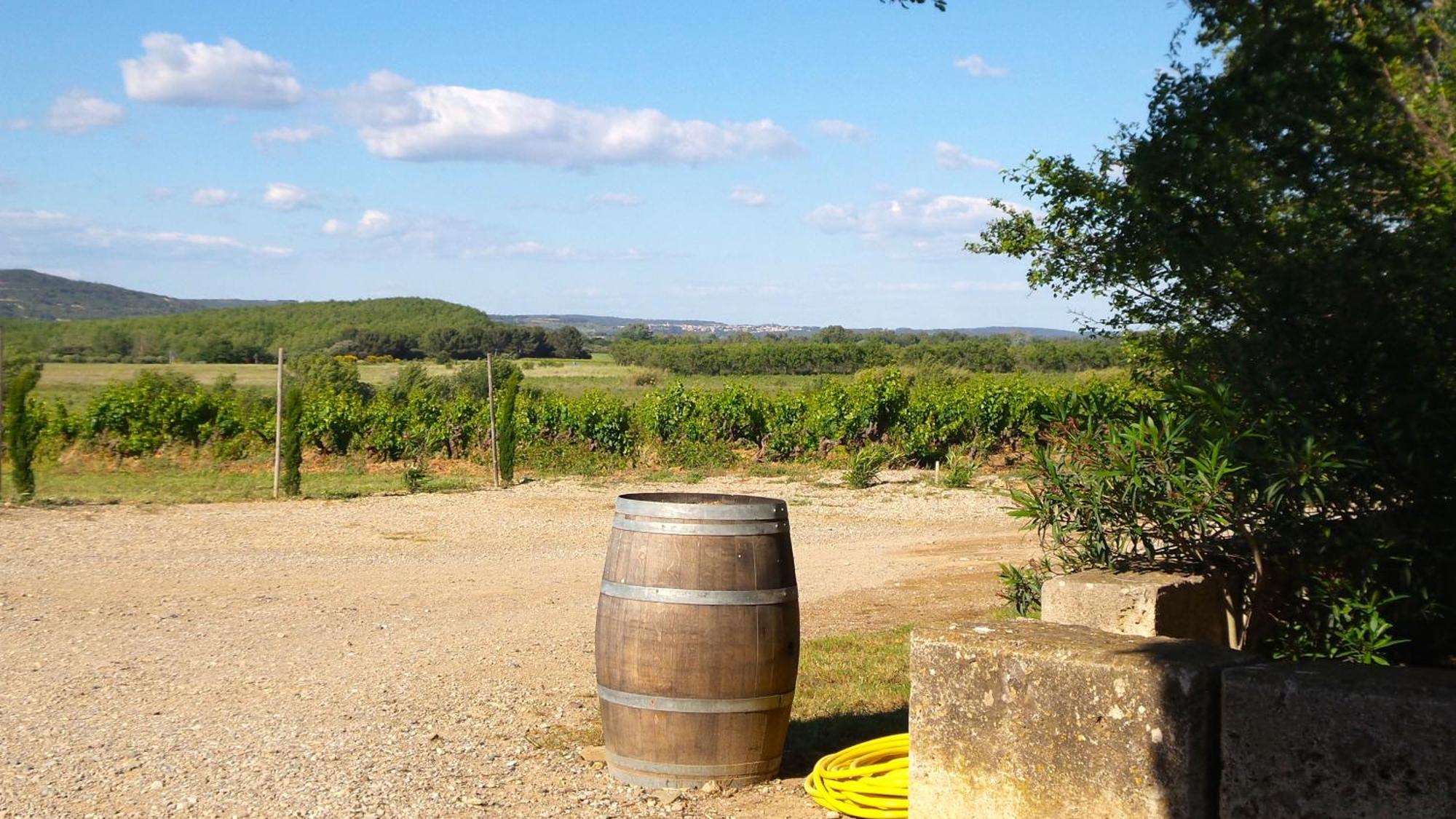 Chateau Le Vergel Authenac Ginestas Rum bild
